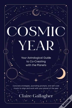 Capa do artigo Cosmic Year