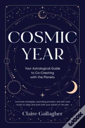 Capa do artigo Cosmic Year