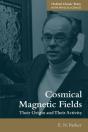 Cosmical Magnetic Fields - Preview