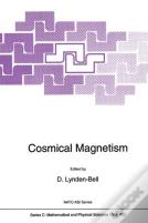Cosmical Magnetism