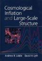COSMOLOGICAL INFLATION AND LARGE-SCALE STRUCTURE - Preview