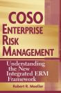 Coso Enterprise Risk Management - Preview