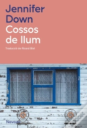 Capa do artigo Cossos De Llum