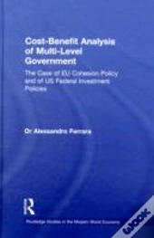 Cost-Benefit Analysis Of Multi-Level Government