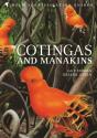 Cotingas And Manakins - Preview