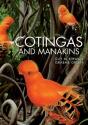 Cotingas And Manakins - Preview