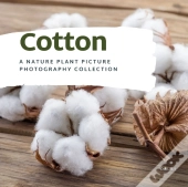 Cotton