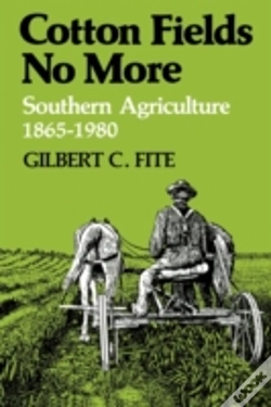 Capa do artigo Cotton Fields No More