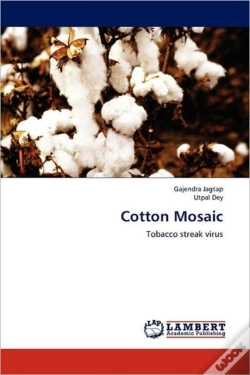 Capa do artigo Cotton Mosaic