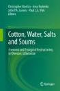 Cotton, Water, Salts And Soums - Preview