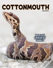 Cottonmouth