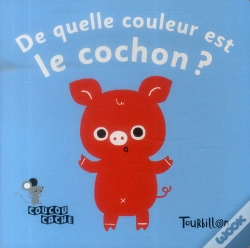 Capa do artigo Coucou Cache Des Couleurs