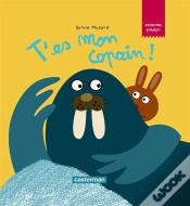 Capa do artigo Coucou C