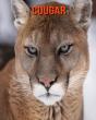 Cougar - Preview