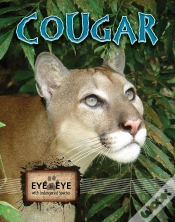Capa do artigo Cougars