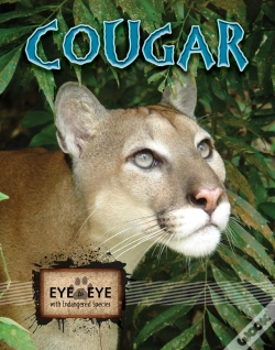 Capa do artigo Cougars
