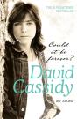 Could It Be Forever? My Story - Preview