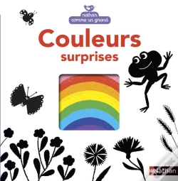 Capa do artigo Couleurs Surprises