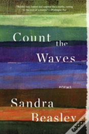 Capa do artigo Count The Waves