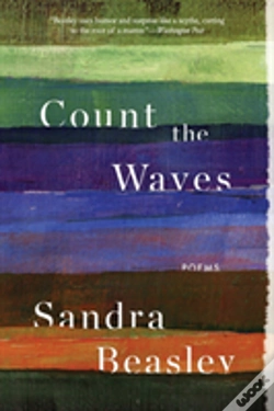 Capa do artigo Count The Waves