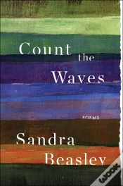 Capa do artigo Count The Waves