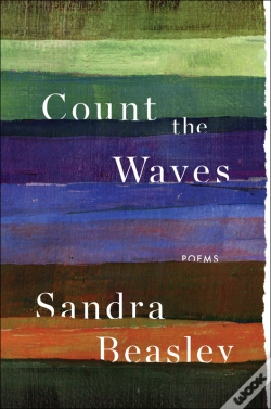 Capa do artigo Count The Waves