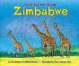 Count Your Way Through Zimbabwe - Preview