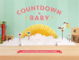 Countdown To Baby - Preview