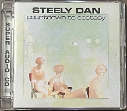 Capa do artigo Countdown To Ecstasy - CD