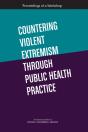 Countering Violent Extremism Through Public Health Practice - Preview