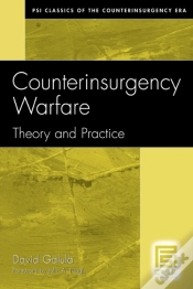 Capa do artigo Counterinsurgency Warfare