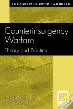Capa do artigo Counterinsurgency Warfare