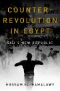 Counterrevolution In Egypt - Preview