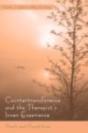 Countertransference And The Therapist'S Inner Experience - Preview