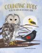 Counting Birds - Preview