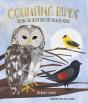 Counting Birds - Preview