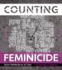 Counting Feminicide - Preview