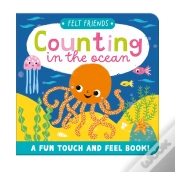 Capa do artigo Counting In The Ocean