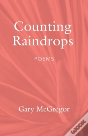 Capa do artigo Counting Raindrops