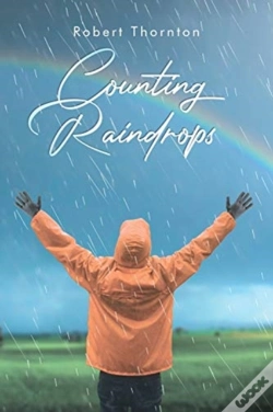 Capa do artigo Counting Raindrops