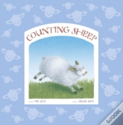 Capa do artigo Counting Sheep