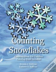 Counting Snowflakes