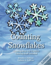 Capa do artigo Counting Snowflakes