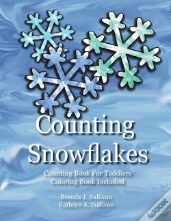 Capa do artigo Counting Snowflakes