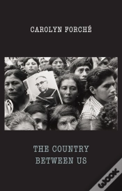 Capa do artigo Country Between Us