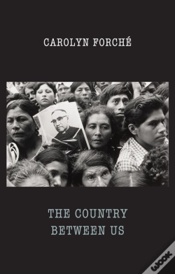 Capa do artigo Country Between Us