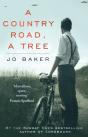 Country Road, A Tree - Preview