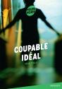 Coupable Idéal - Preview