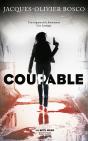 Coupable - Preview