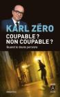 Coupable ? Non Coupable ? Quand Le Doute Persiste - Preview